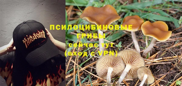 таблы Каменногорск