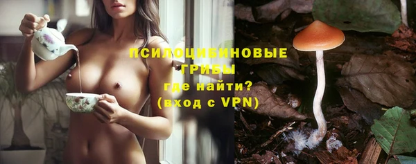 сатива Каменка