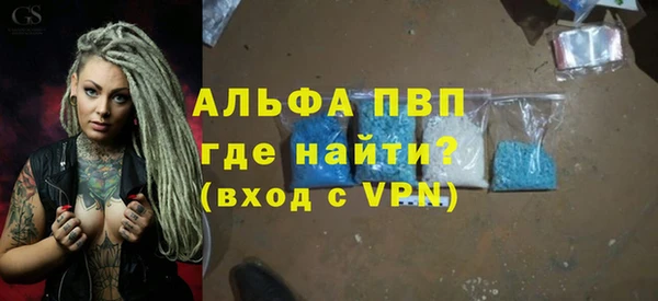 сатива Каменка