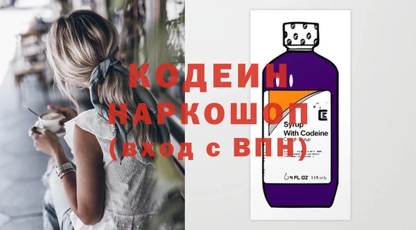 сатива Каменка