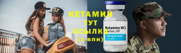 сатива Каменка