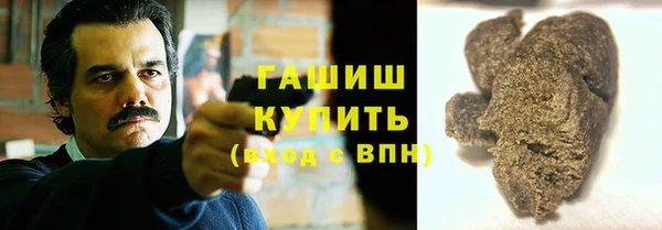 сатива Каменка