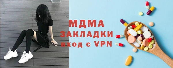 сатива Каменка