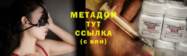 сатива Каменка