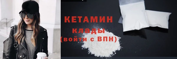 сатива Каменка
