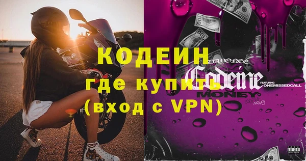 сатива Каменка