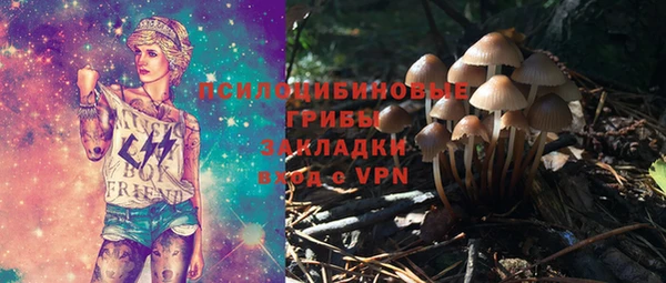 таблы Каменногорск