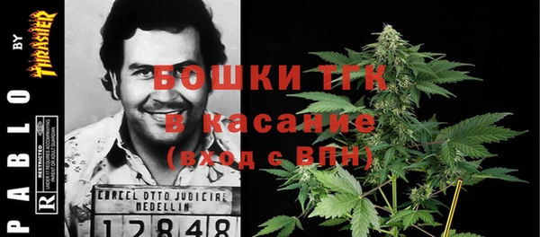 сатива Каменка