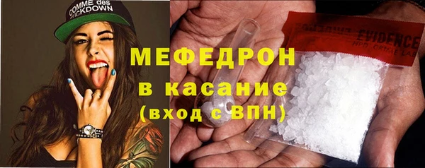 сатива Каменка