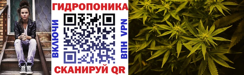 Шишки марихуана индика Купить закладки Питкяранта